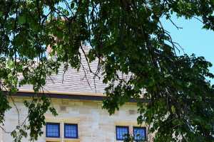 carrick hill 2014 (64)